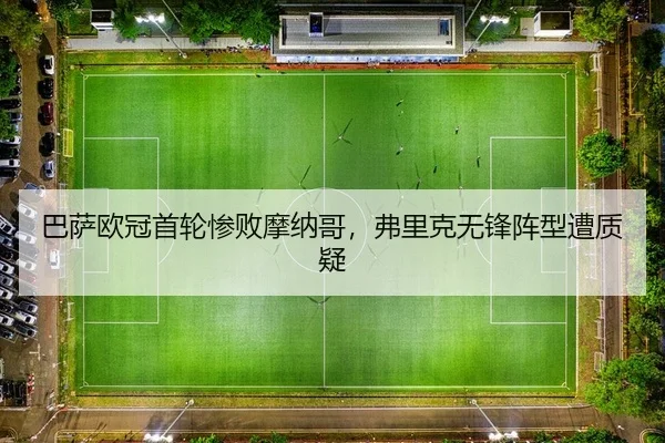 ba-sa-ou-guan-shou-lun-can-bai-mo-na-ge-fu-li-ke-wu-feng-zhen-xing-zao-zhi-yi-2-397.jpg